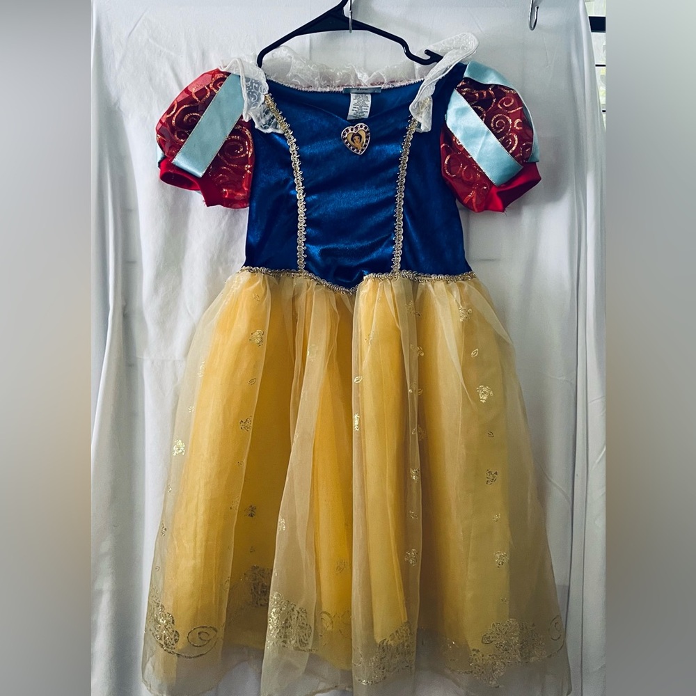 Disney Princess Costume - Blue, Red, and Yellow